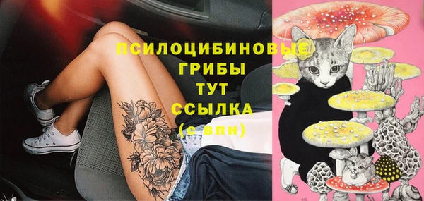 мдма Осинники